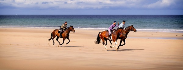 Horses on Reiss Beach