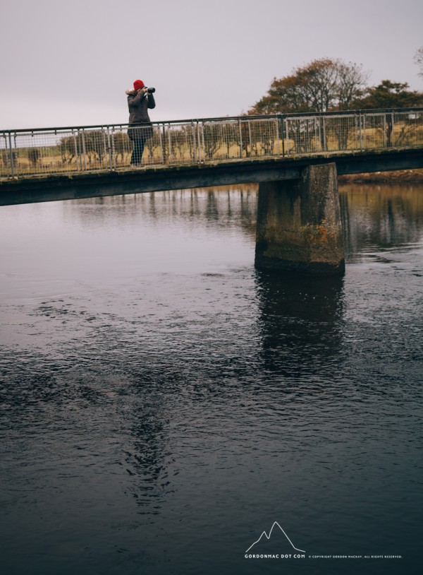 Kirsty taking photos of ducks.